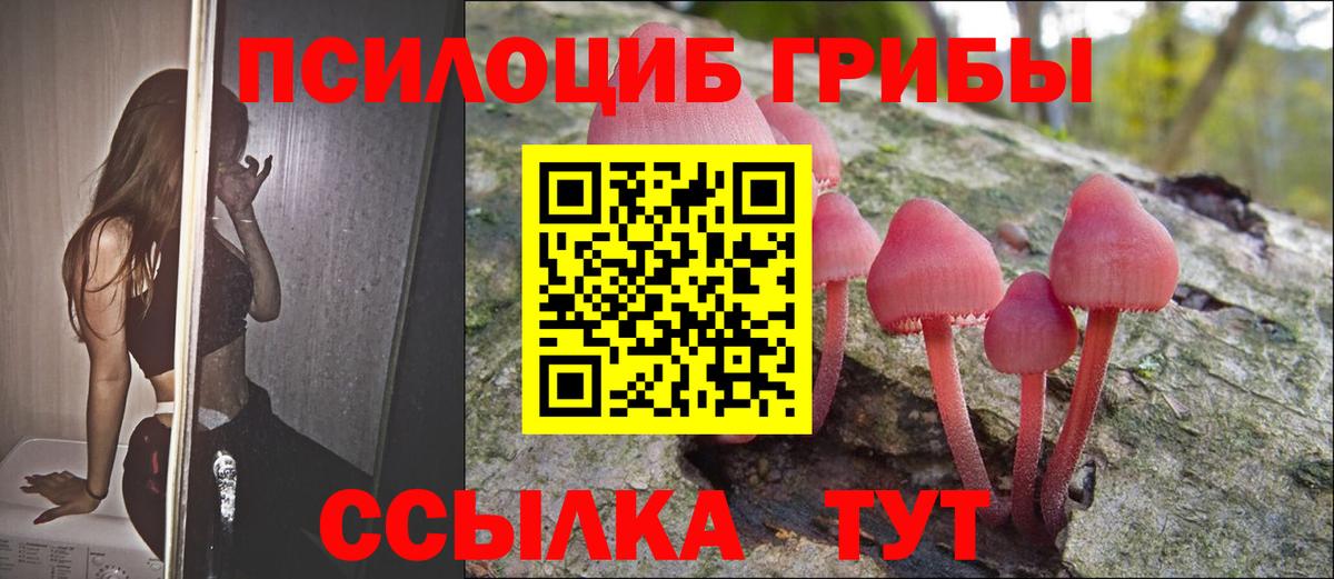 Советск  Псилоцибиновые грибы мухоморы  Вход с VPN 